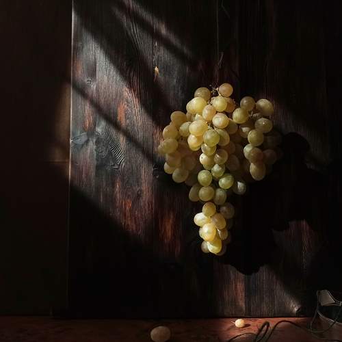 Photo #12694784