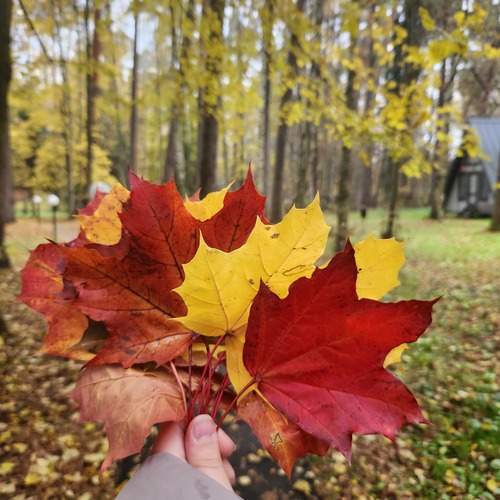 Photo #12694800