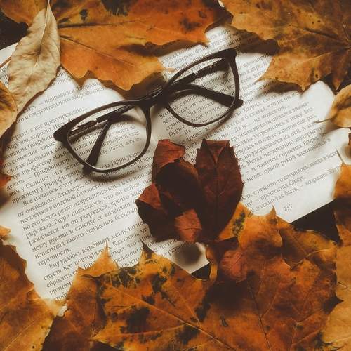 Photo #12694945