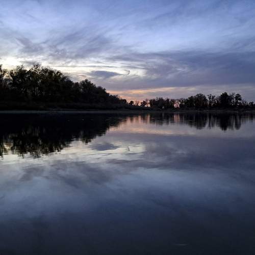 Photo #12694985