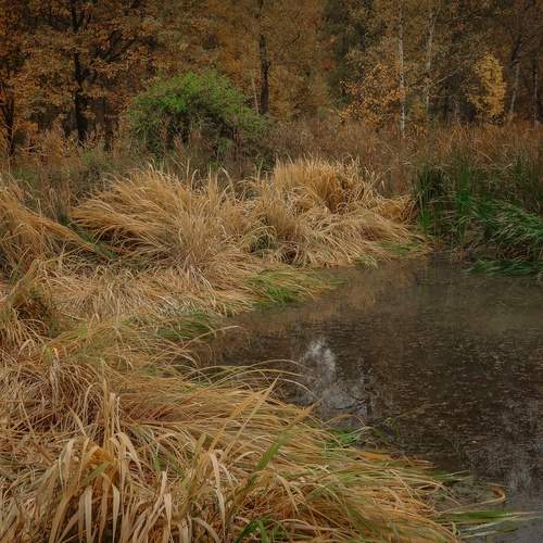 Photo #12695214