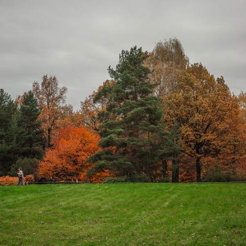 Photo #12695218