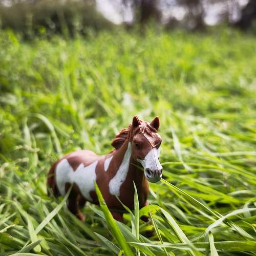 Photo #12695276