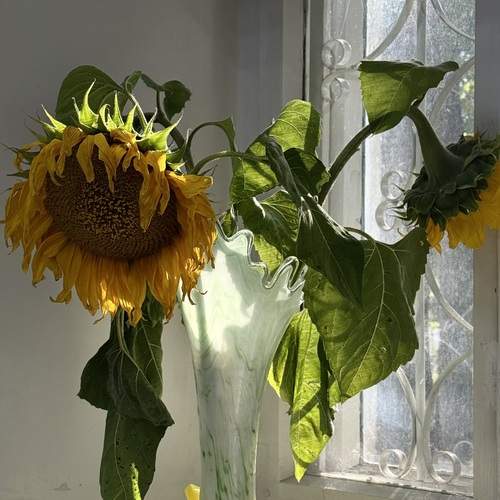 Photo #12695522