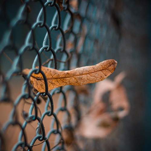 Photo #12696254