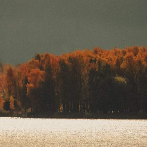 Photo #12696296