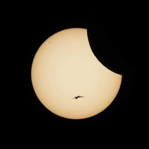 Фотография #12696395