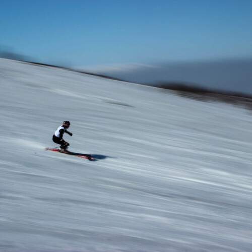 Photo #12696713