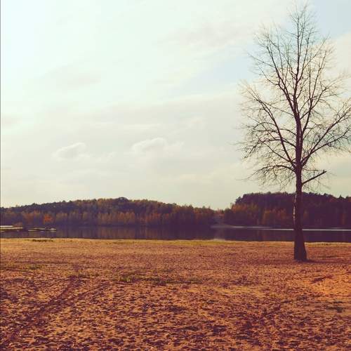 Photo #12696799