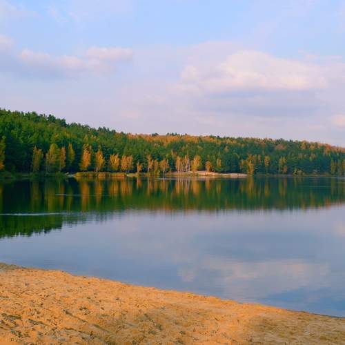Photo #12696842