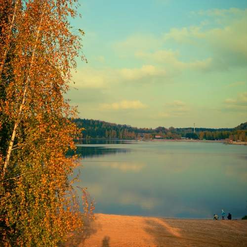 Photo #12696845