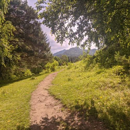 Photo #12696883