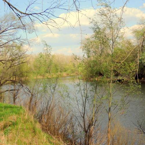 Photo #12696885