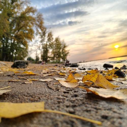 Photo #12697480