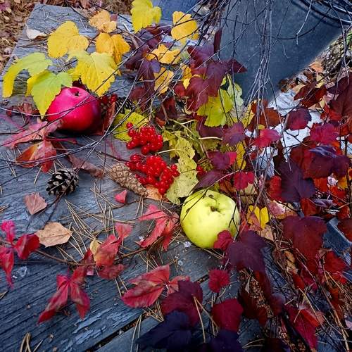 Photo #12697516