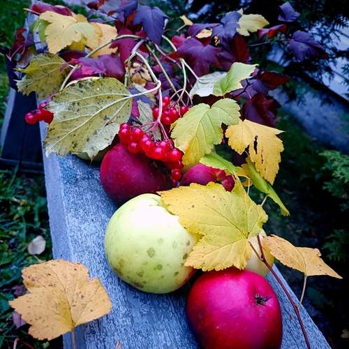 Photo #12697519