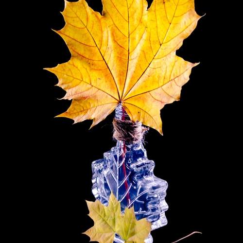 Photo #12697611