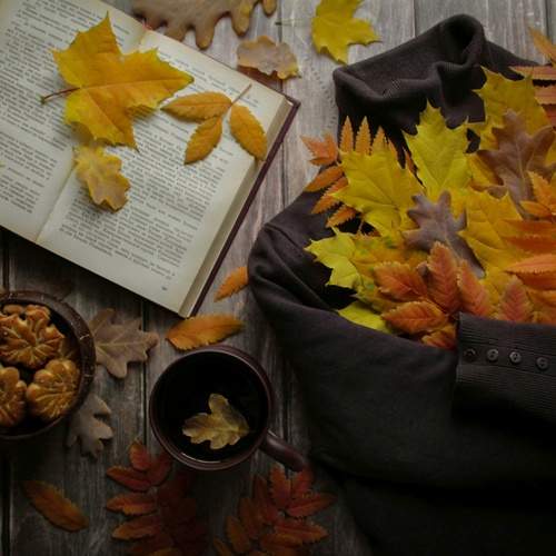 Photo #12697992