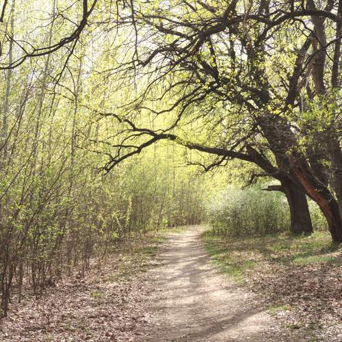 Photo #12698233