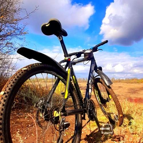 Photo #12698399
