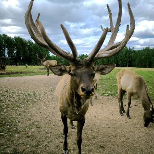 Photo #12698406