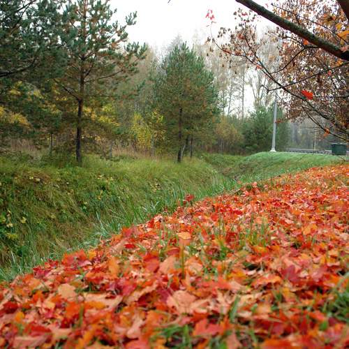 Photo #12698414