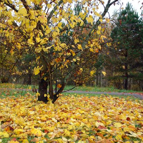 Photo #12698416