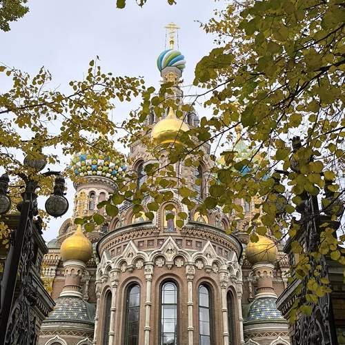 Photo #12698435