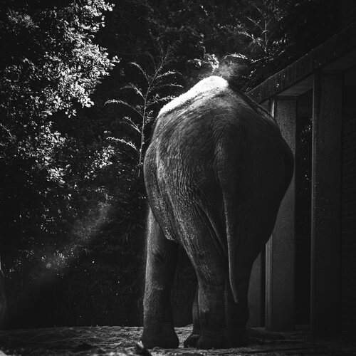 Photo #12698483