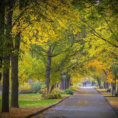 Photo #12698723