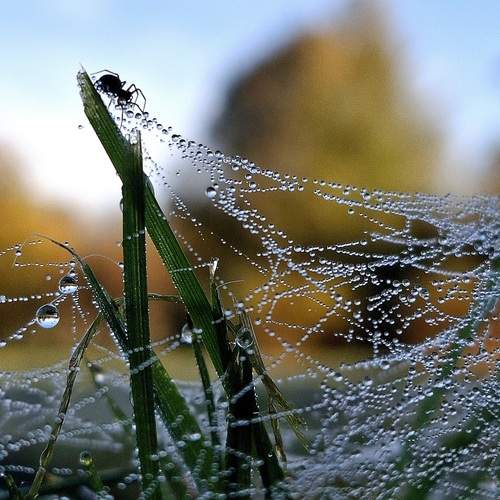 Photo #12698759