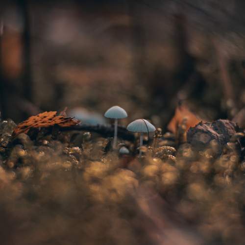 Photo #12698760