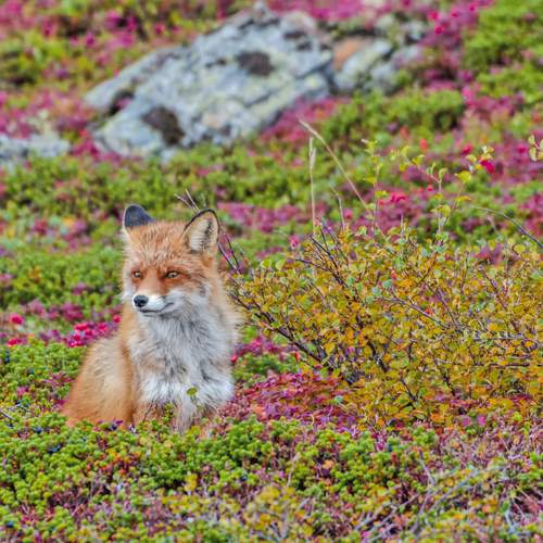 Photo #12698815