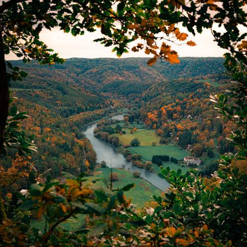 Photo #12699178