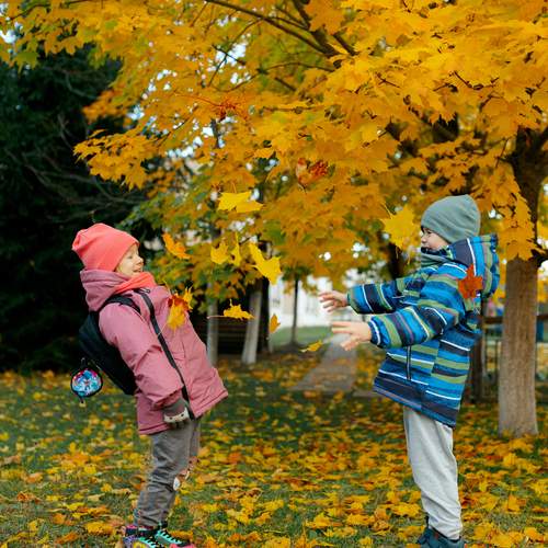 Photo #12699502