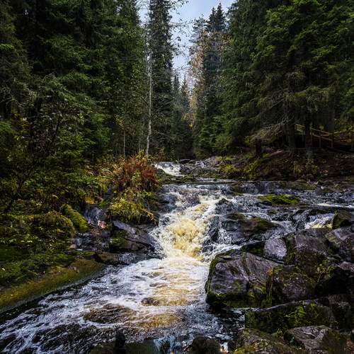 Photo #12699565