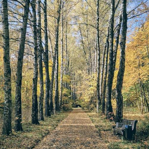 Photo #12699588