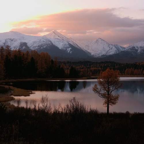 Photo #12699743