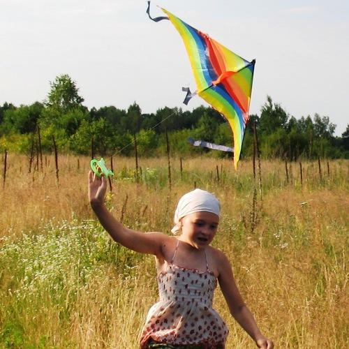 Photo #1271002