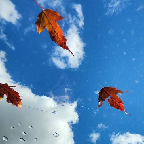 Photo #12700012