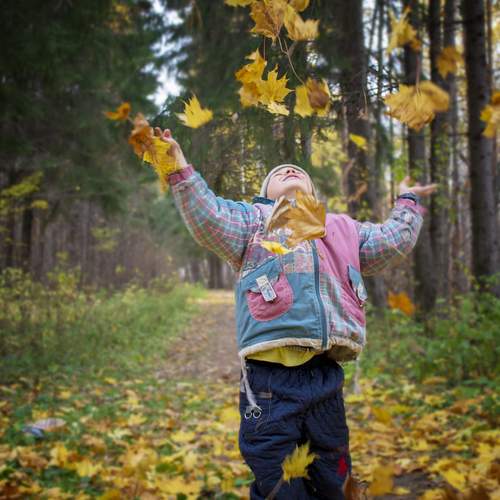 Photo #12700013