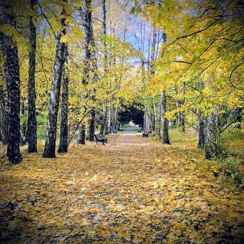 Photo #12700097