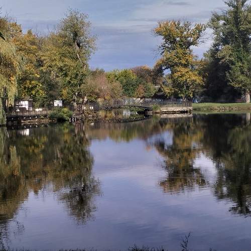 Photo #12700243