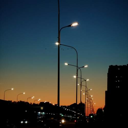 Photo #12700555