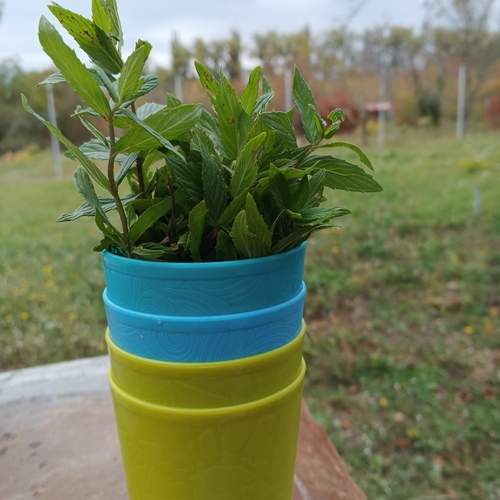 Photo #12700562