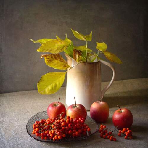 Фотография #12700736