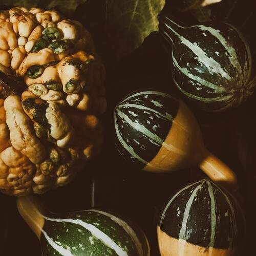 Photo #12700774
