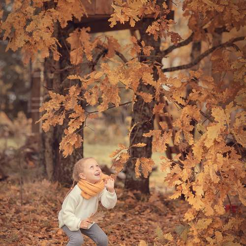 Фотография #12700779