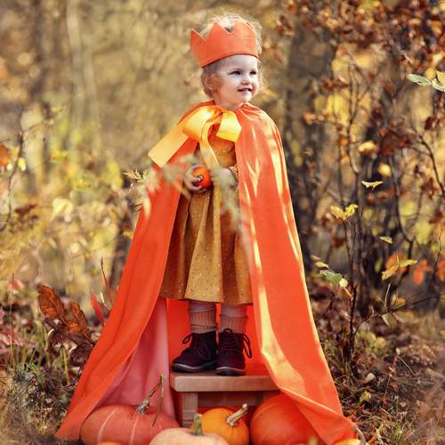 Photo #12700783