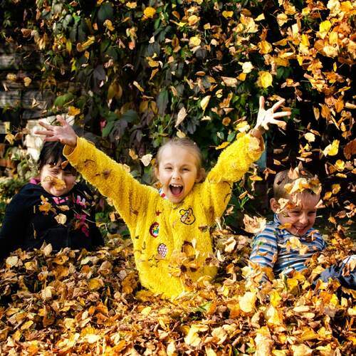 Photo #12701630